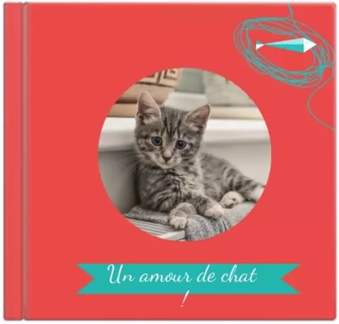 Portrait humoristique photo chat personnalisé - Petits Compagnons